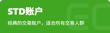标准账户